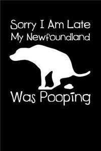 Sorry I Am Late My Newfoundland Was Pooping