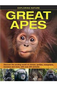 Exploring Nature: Great Apes