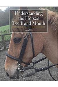 Understanding the Horse's Teeth and Mouth
