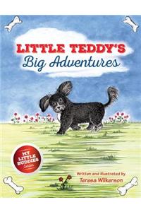 Little Teddy's Big Adventures