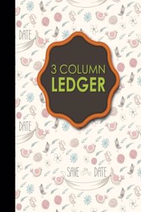 3 Column Ledger