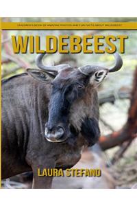 Wildebeest