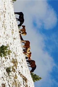 Horses on a Snow Covered Ridge in Italy Journal