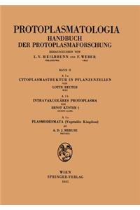 Cytoplasmastruktur in Pflanzenzellen — Intravakuoläres Protoplasma — Plasmodesmata (Vegetable Kingdom)