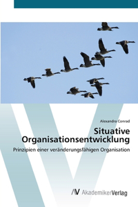 Situative Organisationsentwicklung