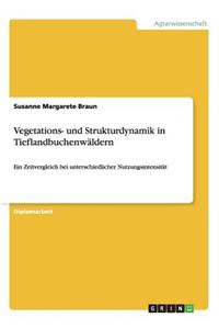 Vegetations- und Strukturdynamik in Tieflandbuchenwäldern