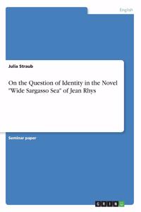 On the Question of Identity in the Novel 