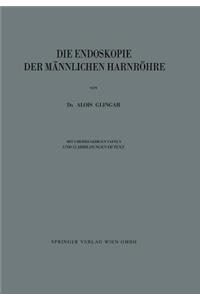 Die Endoskopie Der Männlichen Harnröhre