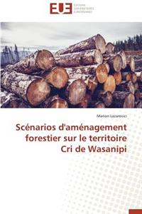 Scénarios d'Aménagement Forestier Sur Le Territoire Cri de Wasanipi