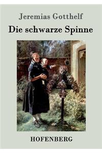 schwarze Spinne