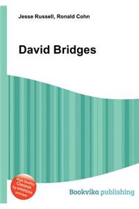 David Bridges