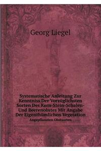 Systematische Anleitung Zur Kenntniss Der Vorzüglichsten Sorten Des Kern-Stein-Schalen- Und Beerenobstes Mit Angabe Der Eigenthümlichen Vegetation Angepflanzten Obstsorten