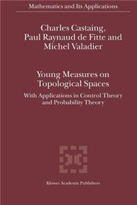 Young Measures on Topological Spaces