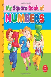 My Square Board Book - Numbers
