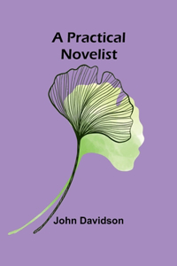 Practical Novelist