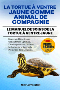 La Tortue À Ventre Jaune Comme Animal de Compagnie