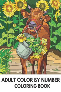 Adult Color By Number Coloring Book