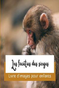 Les facéties des singes