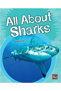 All about Sharks