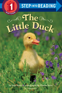 Little Duck