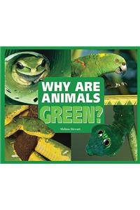 Why Are Animals Green?