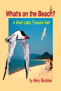 What's On the Beach?