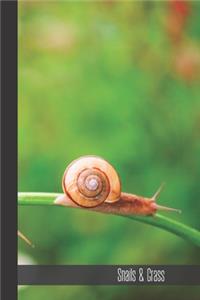 Snails & Grass