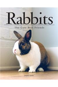 Rabbits, The Cute Best Friends