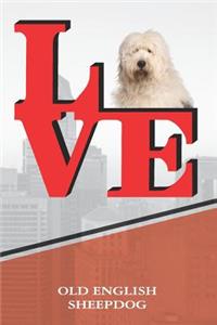 Old English Sheepdog