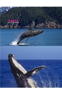 Whale Sketch Book