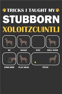 Xoloitzcuintli Journal