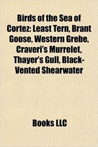 Birds of the Sea of Cortez