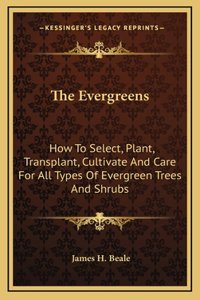 Evergreens