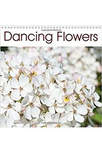 Dancing Flowers 2017