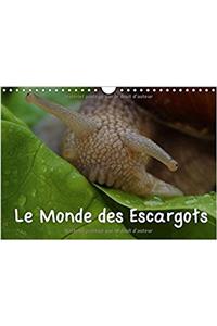 Monde Des Escargots 2017