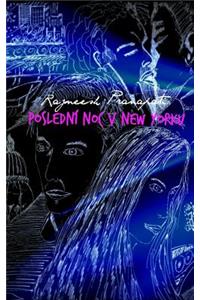 Poslední noc v New Yorku