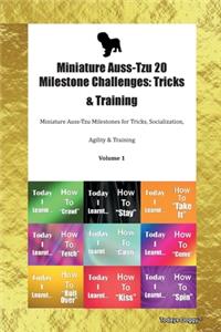 Miniature Auss-Tzu 20 Milestone Challenges