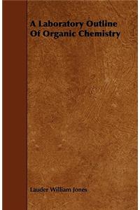 A Laboratory Outline Of Organic Chemistry