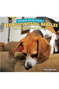 Bedbug-Sniffing Beagles and Other Scent Hounds