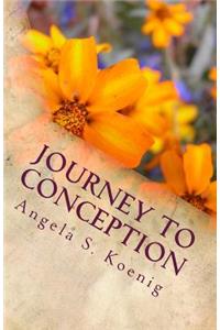 Journey to Conception