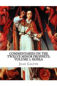 Commentaries on the Twelve Minor Prophets, Volume 1