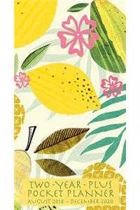 2019 Tropical Two-Year-Plus Pocket Planner: By Sellers Publishing