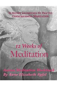 12 Weeks of Meditation