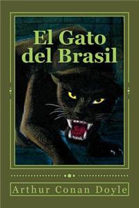 Gato del Brasil