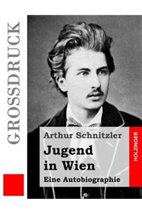 Jugend in Wien (Großdruck)