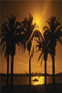 Journal Tropical Sky Background