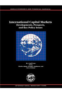 International Capital Markets