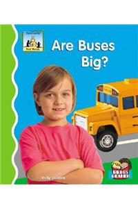 Are Buses Big?