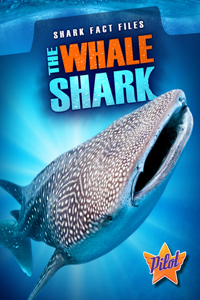 Whale Shark