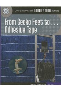 From Gecko Feet to Adhesive Tape